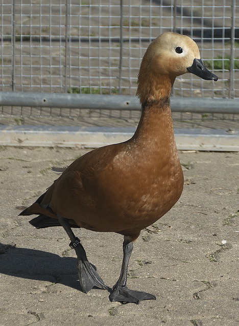 数据
