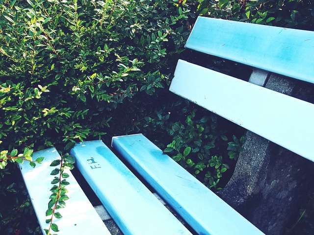 充分休息的 充分休息的