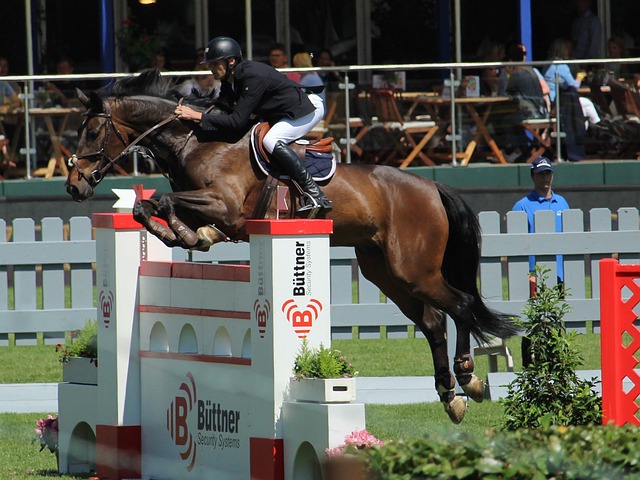 待与希望 待与希望