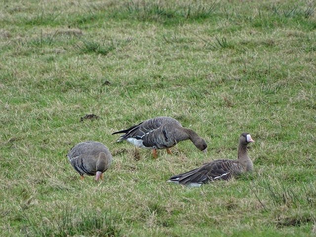 而对于两位 而对于两位
